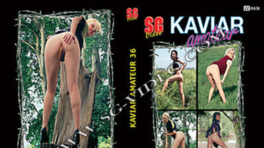 KAVIAR AMATEUR / Kaviar Amateur No.36