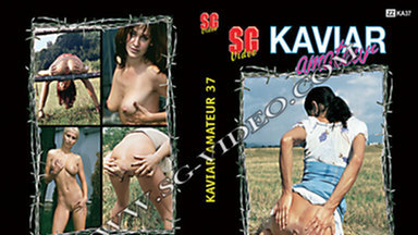 KAVIAR AMATEUR / Kaviar Amateur No.37