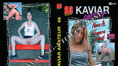 KAVIAR AMATEUR / Kaviar Amateur No.66