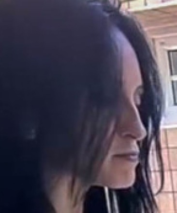 Julia Reign image