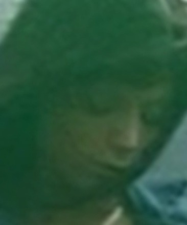 Stephanie Twilight image